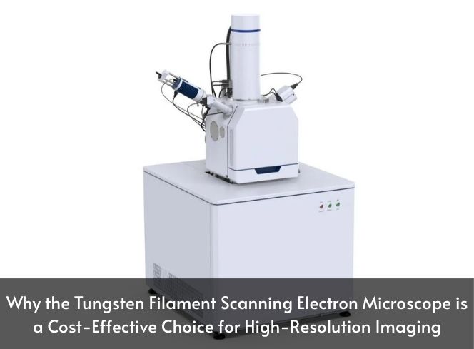 Why the Tungsten Filament Scanning Electron Microscope is a Cost-Effective Choice for High-Resolution Imaging